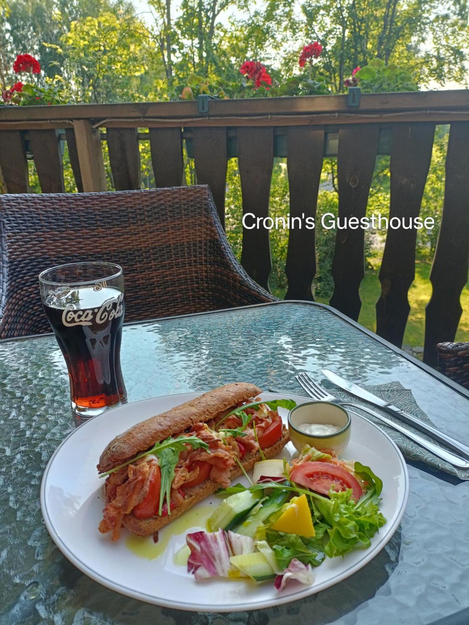 Cronin'S Guesthouse Bed & Breakfast Heinola Exterior foto